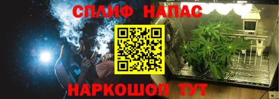 шишки Беслан