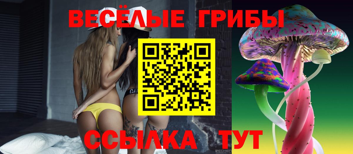 Псилоцибиновые грибы GOLDEN TEACHER  Вход с VPN  Кисловодск 
