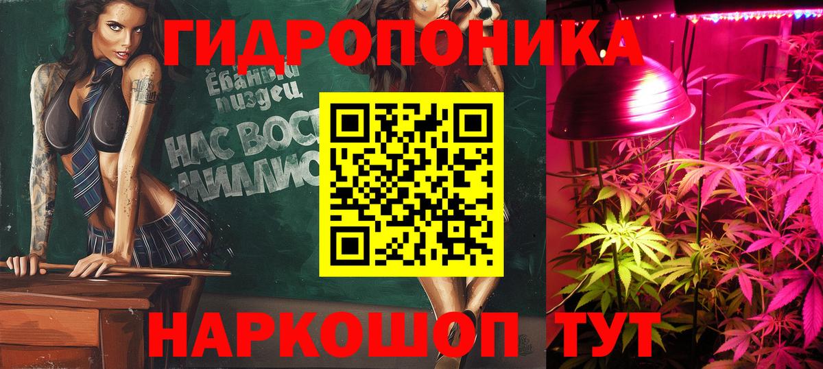 Конопля план Кисловодск